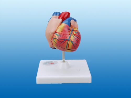 �c���鿴Ԕ��(x��)��Ϣ��(bi��o)�}�����Kģ�� ��x�Δ�(sh��)��1603